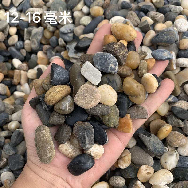 豆石 地暖回填豆石雨花石 污水处理过滤料园林铺路造景石头