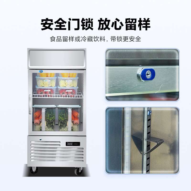 学校酒店专用留样冰柜商用冰箱小型带锁冷冻柜保鲜食品冷藏展示柜
