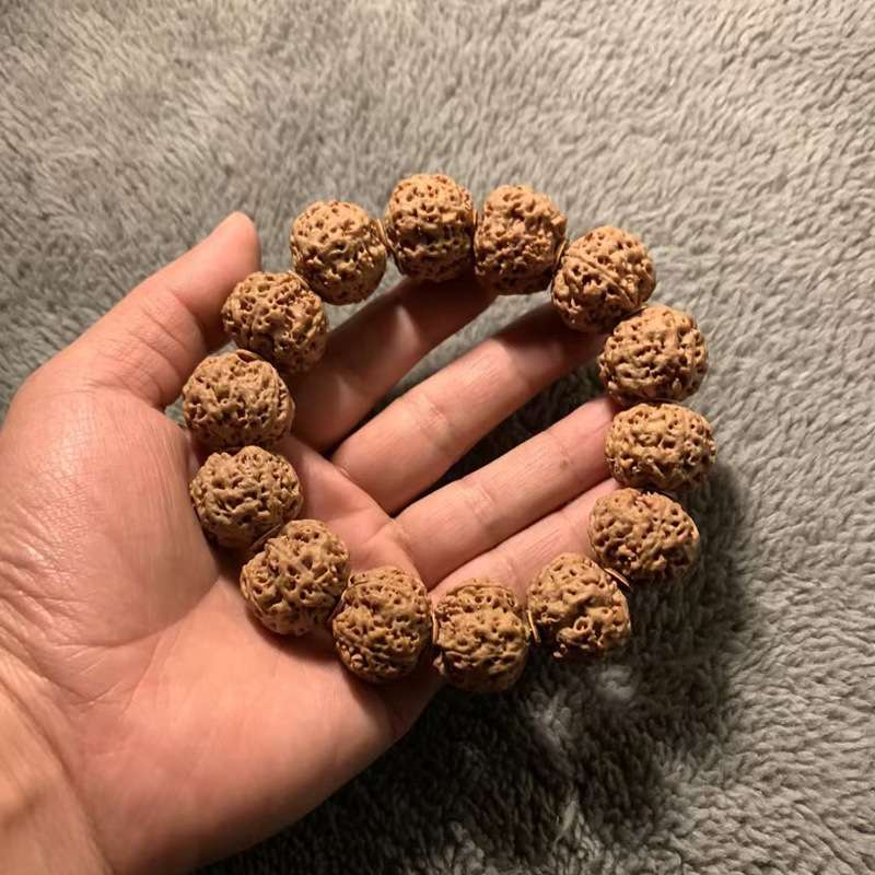 菩提子菩提五瓣蜂文玩蜂大金刚菩提文玩 花文玩树祖菩提