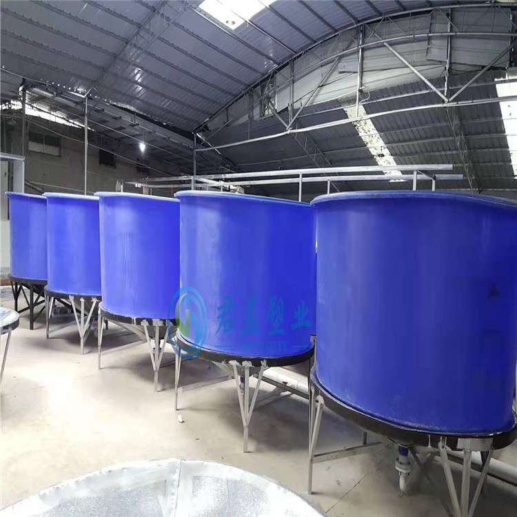 鱼苗养殖桶,嘉兴石斑鱼养殖桶