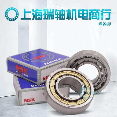 进口NSK NJ2311 2312 2313 2314 2315 2316EW EM C3 圆柱滚子轴承