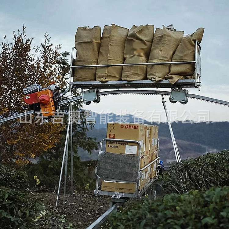 安全农用果园单轨运输车 山地爬坡轨道车齿条搬运机