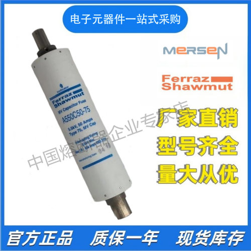 FERRAZ熔断器A550C35-70A550C40-70A550C50-70保险丝熔芯