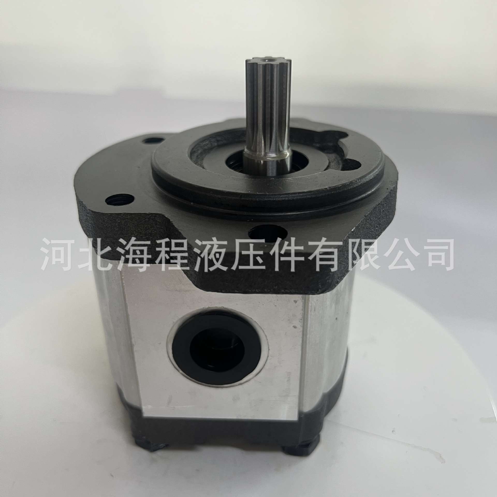 凯斯帕 9 键单联泵 CASAPPA PLP20 13, 5D0-03S1-LOD/OC-N-FL-AV - 实物图