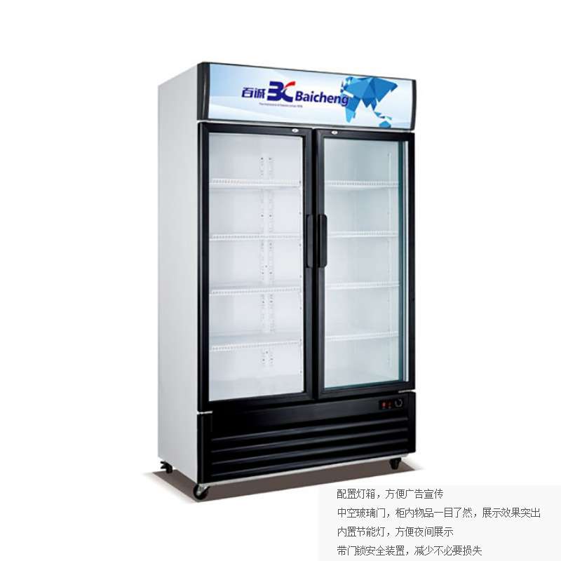 百诚 商用冰箱饮料冷藏展示柜单门大容量立式冰柜保鲜柜双门冷柜