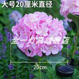太阳能户外庭院灯网红小院造景布置草坪灯花园阳台氛围装饰花朵灯
