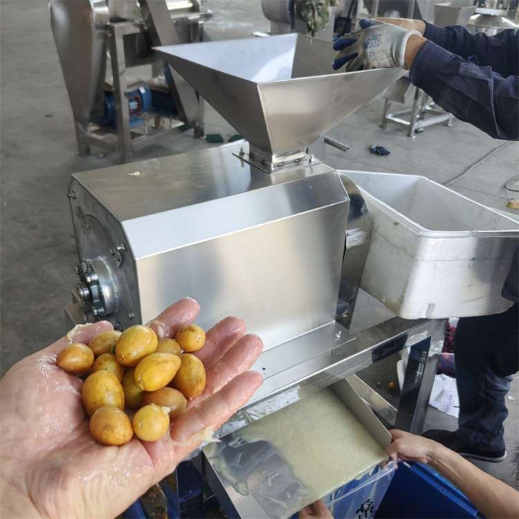 黄皮果杨梅去核打浆机商用红枣芒果去皮去籽打浆不锈钢打浆设备