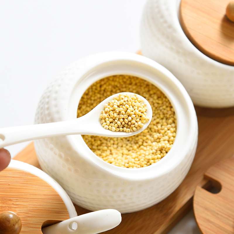 陶瓷调味罐套装家用调味瓶罐调料盒厨房用品盐罐辣椒罐调味盒带盖