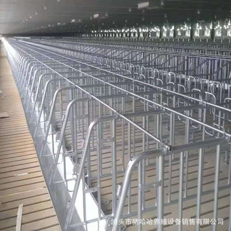 母猪定位栏  育肥 落地式 猪用限位栏 分娩栏立式