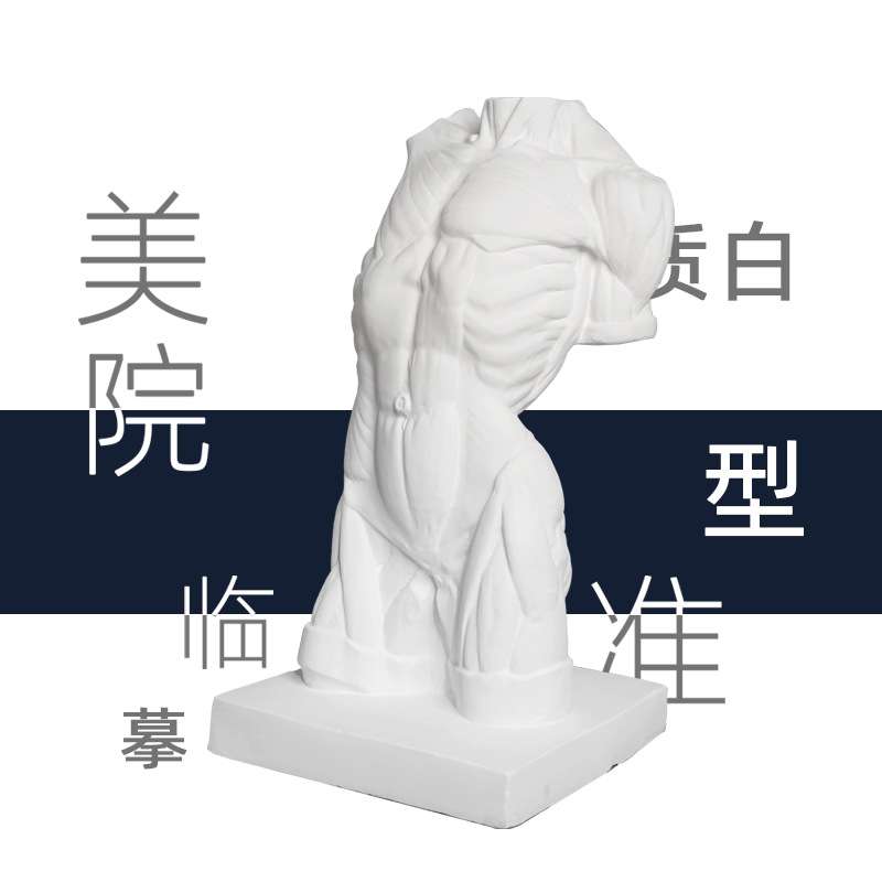 男躯干石膏胸像90cm写生素描绘画临摹雕塑美术石膏体摆件静物教具