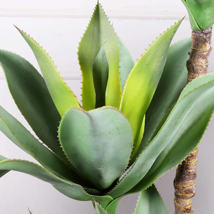 高品质仿真绿植聚宝莲 热带沙漠植物盆栽落地布景 装饰仿真龙舌兰