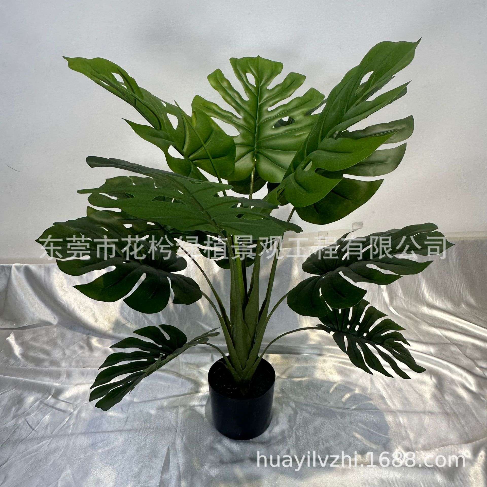 猴头蕨仿真龙血树百合竹琴叶榕假龟背橄榄树芭蕉巴西铁龙血树盆景