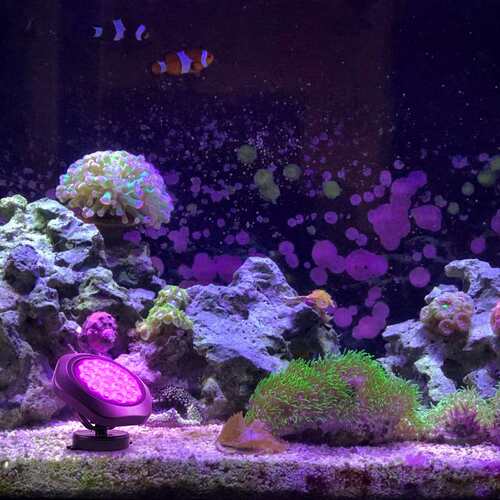 户外新款太阳能水底灯高亮18LED花园庭院灯圆盘草坪灯RGB泳池射灯