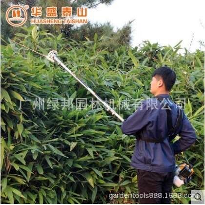 山东华盛泰山GJ330高枝绿篱机 大功率高枝修剪机宽带高枝锯高枝剪