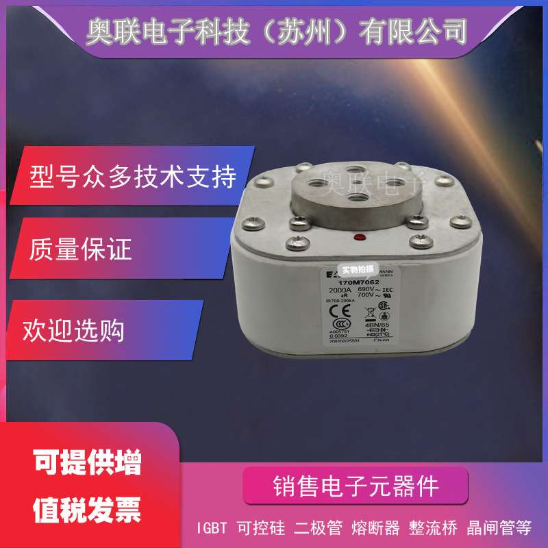 熔断器170M4493 170M4494 170M4495 170M4496 170M4497保险丝电容