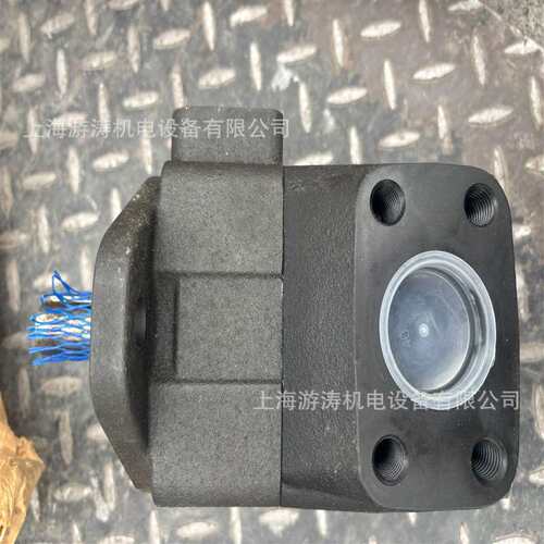 R900705785齿轮泵 PVV2-1X/060RA15RVB上海游涛量大价优欢迎来电