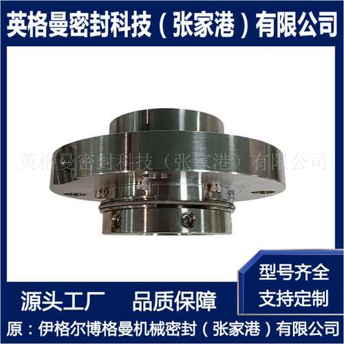 TD3-15/200机械密封 搅拌器机械密封 张家港博格曼厂家直供