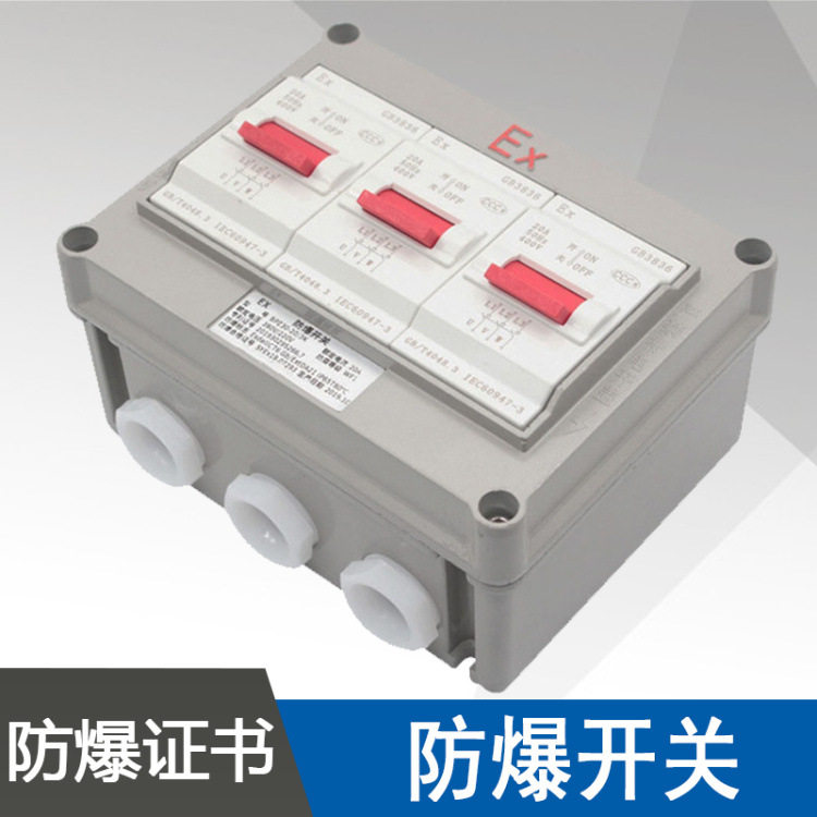 BPZ30-20/3K防爆开关BDZ58-20/3K防爆断路器电流20A电压220V380V
