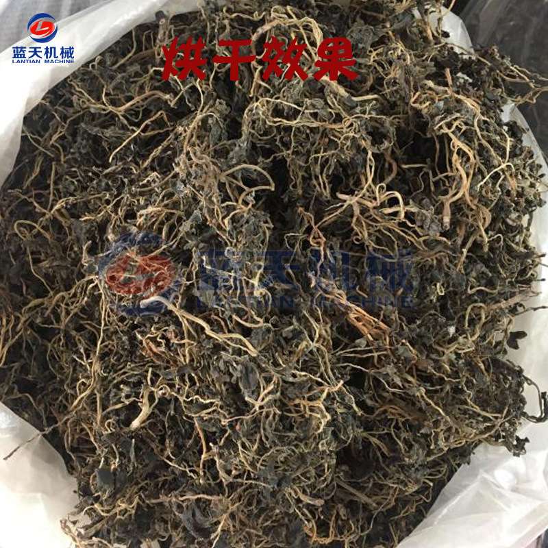 蓝天马齿苋烘干机小型商用 五行草麻绳菜烘干箱 马齿菜烘干机设备