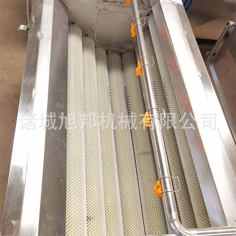 土豆毛刷清洗磨皮机器 河蚌去泥去杂清洗设备 茎瘤芥毛棍清洗机