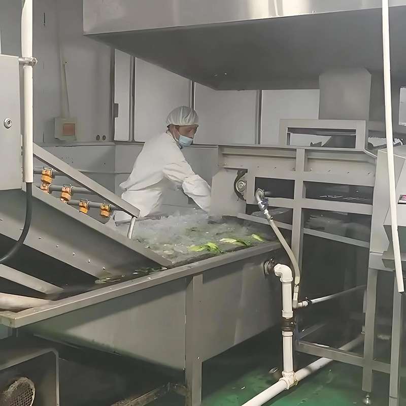 青菜香菇米线漂烫杀青机漂烫杀青连续脱水流水线西红柿漂烫杀青机