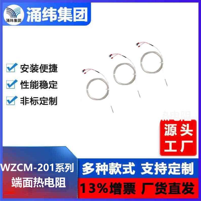 涌纬集团--端面热电阻 WZCM-201