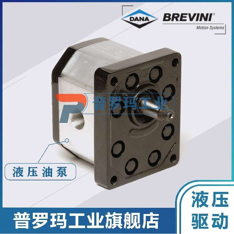 BRTVINI齿轮油泵OT100P20S/G13B0 G14B0 G214B0 R11S1 G11S1 D 58