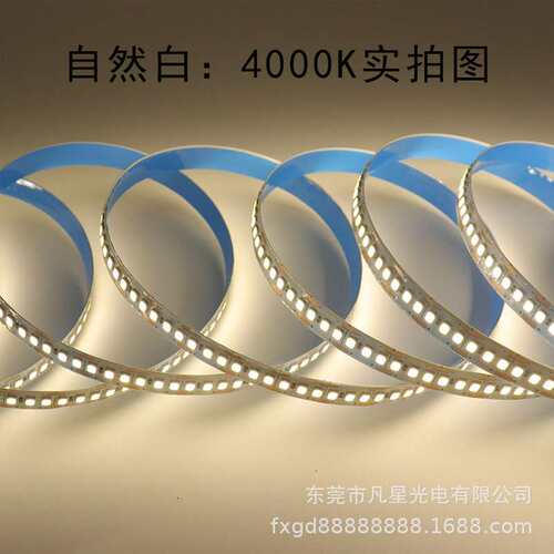 led低压软灯带工程款12V2835高亮240灯24V电镀板10宽单排展柜照明