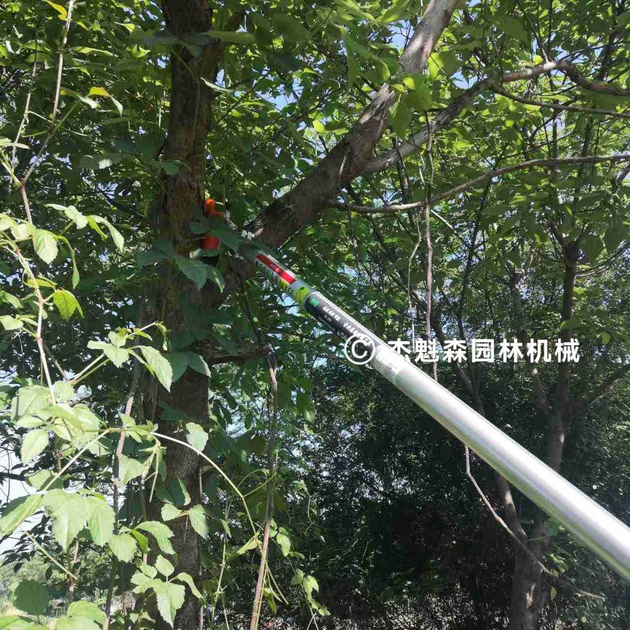 捍绿HL-400高空链锯高枝油锯园林绿化修剪修枝工作锯