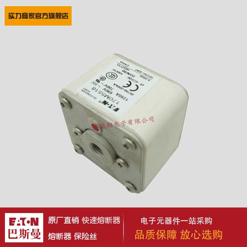 熔断器170M5558 170M5559 170M5560 170M5561 170M5562 170M5563