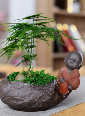 文竹创意陶瓷禅意小佛花盆土培容器桌面摆件绿植盆栽多肉植物盆栽