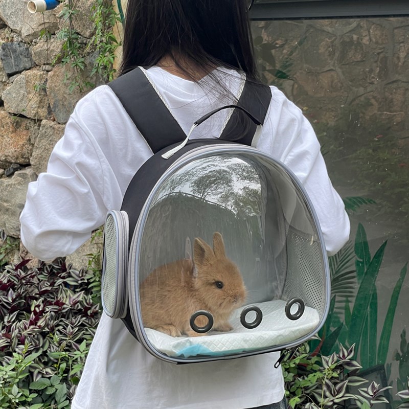 兔子外出包带厕所背包宠物专用便携透明包侏儒兔子背包外带包图片