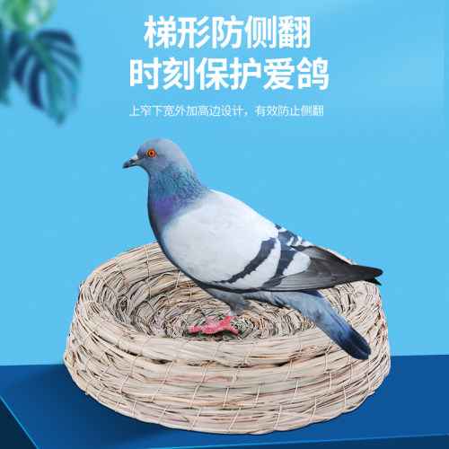 鸽子窝信鸽塞鸽鸡家用草编塑料下蛋生蛋窝芦丁鸡草窝巢盆笼子鸽具