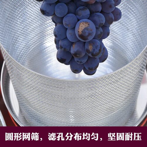 家用小型304不锈钢榨油机 手动液压千斤顶压榨机商用压饼机推荐