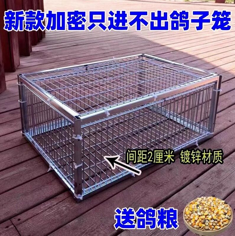 只进不出跳笼天落笼撞门鸽子笼活络门笼撞门鸽笼铁笼撞门自动门图片