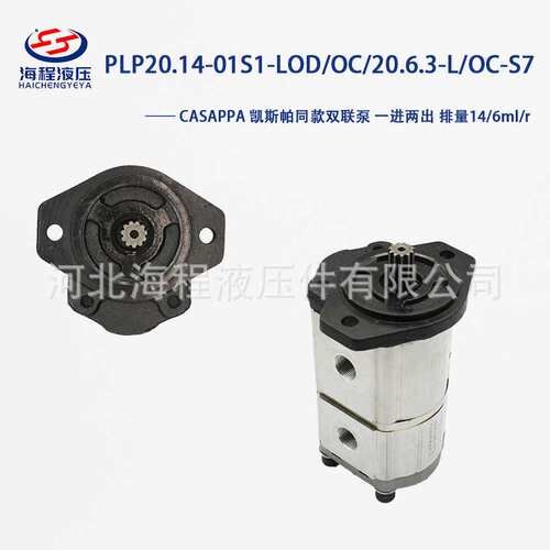 CASAPPA 凯斯帕 PLP20.14-01S1-LOD/OC/20.6.3-L/OC-S 一进两出泵