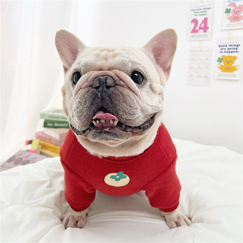 法斗衣服巴哥新年衣服加绒宠物狗狗比熊柯基柴犬过年卫衣喜庆保暖