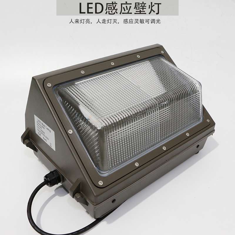 车库LED灯人体感应30W40W50W60W壁灯雷达感应微亮调光灯具