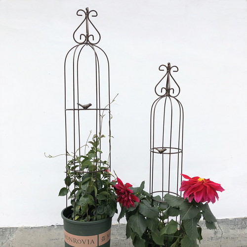 铁艺植物花艺架子绿萝月季花架铁线莲爬藤架支架杆皇冠小鸟笼造型