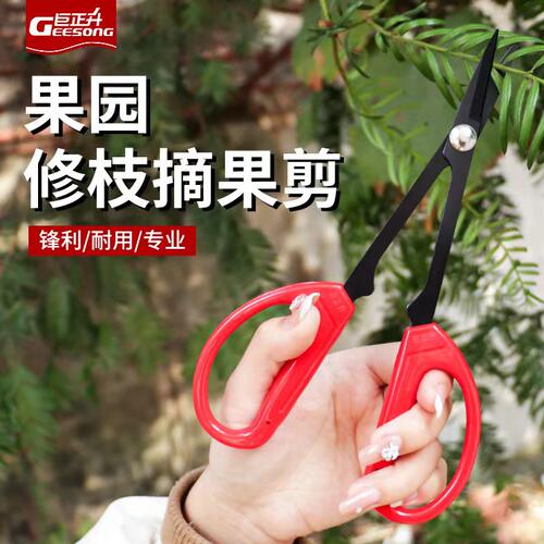 巨正升叶芽剪盆景专用剪刀葡萄修果疏果稀果采果长柄剪子采摘修枝