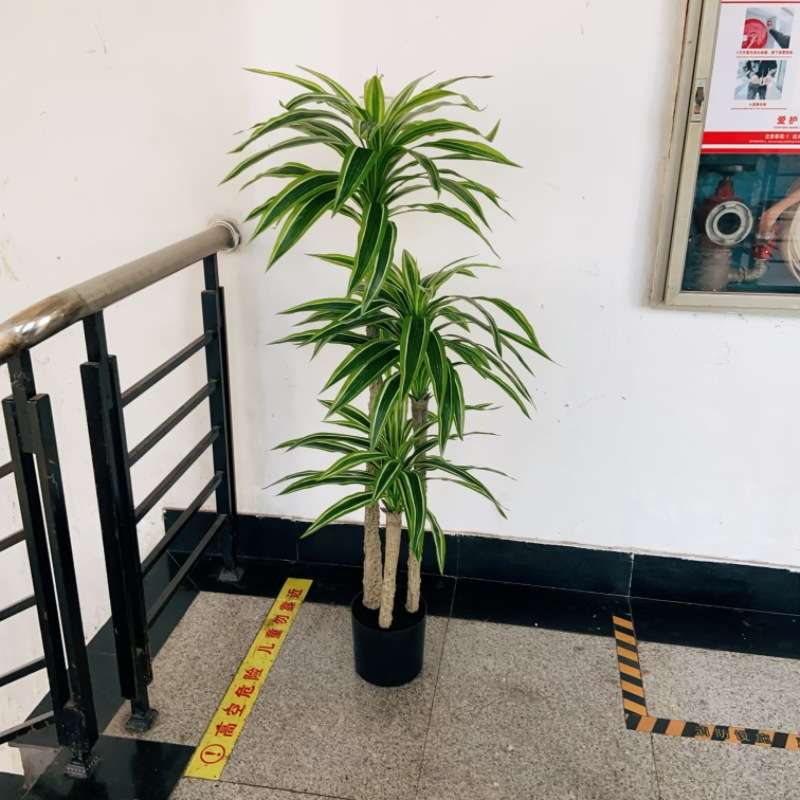 仿真香龙血树植物盆栽 高品轻奢小树假树客厅装饰庭院造景摆件