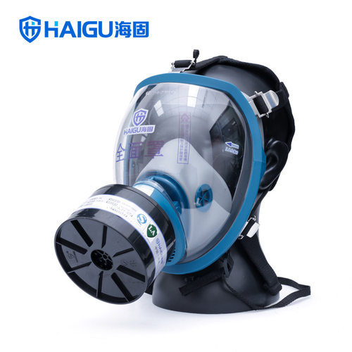 海固HG-800+P-B-2防护无机毒气套装