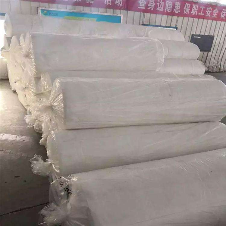 复合聚酯长丝无纺土工布白色长纤针刺土木布