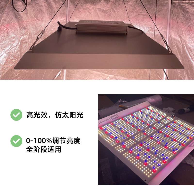 迷你溫室大棚照明led植物灯400w量子板植物生长灯补光灯全光谱
