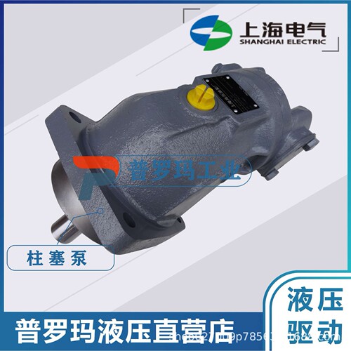 上海电气 A2FE32/61W-VZL10 强夯机 卷8扬马达宇通中联 A2FE160