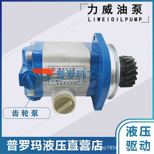 合肥力威 QC10/20-WP6 汽车油泵转向泵 合肥天力威方向动力泵