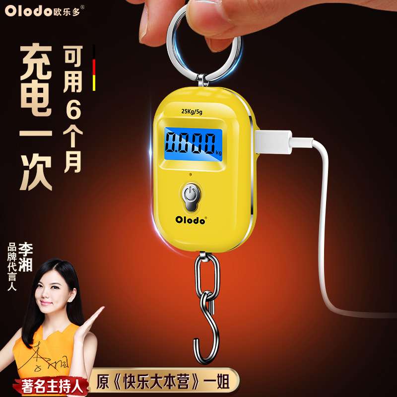 便携式手提电子秤高精度小型买菜勾称口袋随身携带迷你钩秤充电款