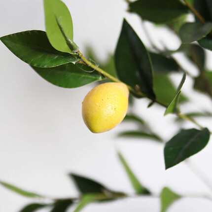 厂家直销仿真盆栽绿植柠檬盆景假植物家居室内装饰仿真花柠檬树