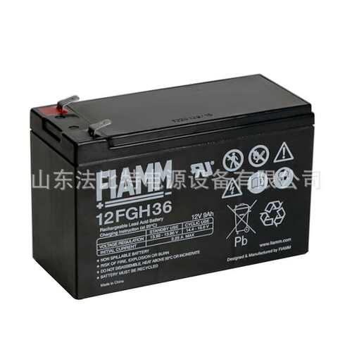 非凡FGC21803免维护蓄电池12V18Ah应急通讯 FIAMM 意大利