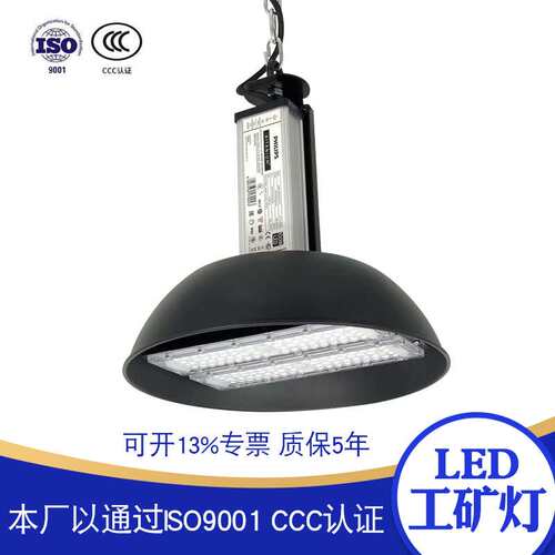 2020生产LED工矿灯.100瓦-200瓦灯具 质保五年